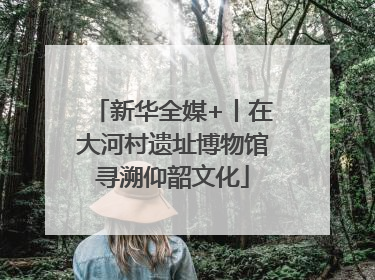 新华全媒+丨在大河村遗址博物馆寻溯仰韶文化